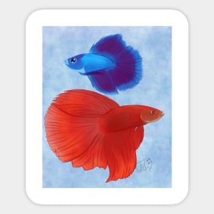 Betta Fish Sticker